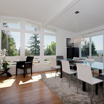 Full home renovation and extension