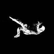 Marco Polacco's photo