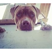Ryan Stoebig's photo