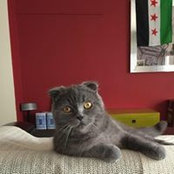 Maissa Azem's photo