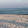 stephany_swanson