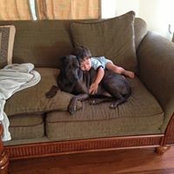 Chris Almli's photo