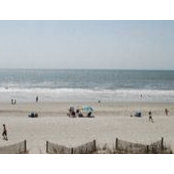 Jill Humphries's photo