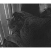 Mike Tillett's photo