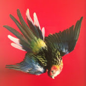 Samuel Wheeler's photo