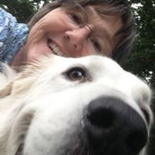 Kathy Sandman's photo
