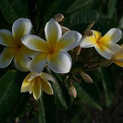 Kristin Habenicht's photo