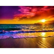 Judy Haldie Nuzzi's photo