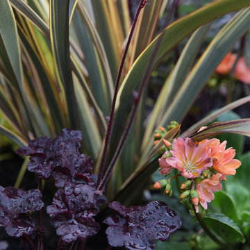 Potted Designs