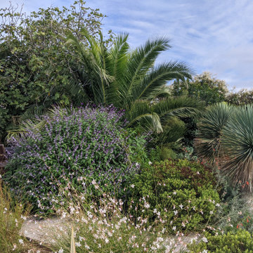 Jardin Exotique - Le jardin sur les Dune à l’île d’Oléron