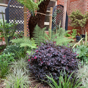 Amersham Hospital Courtyard Garden