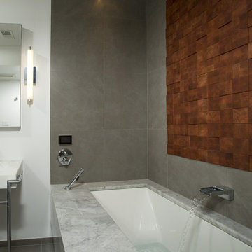 Washington DC Condo - Fireplace and Master Bath