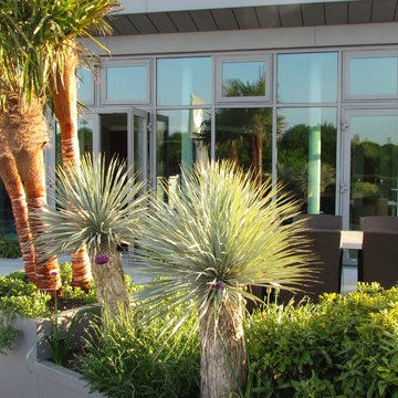 West London Roof Garden