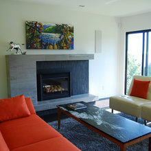 Hippo123 - fireplace