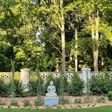 yard ideas
