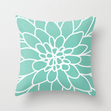 pillows