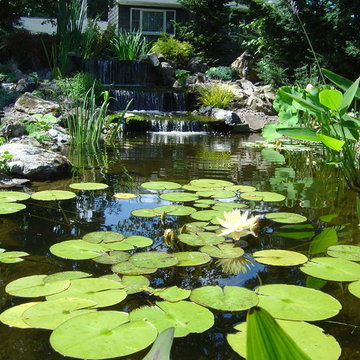 Pond Paradise Designs assorted photos