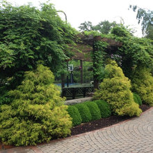 Tennis Court Landscaping