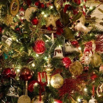 Christmas Tree's