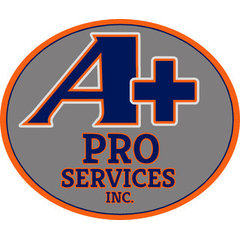A+ Pro Services, Inc