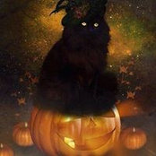 Kalishta Calabrese's photo