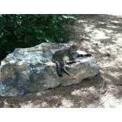 Laura Flicker's photo