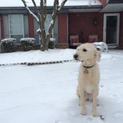 Jessica Markowski's photo
