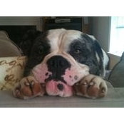 John Ronin's photo