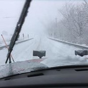 Jacob Sutter's photo