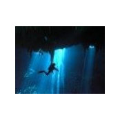 Roberto Verduzco's photo
