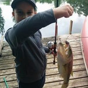 Heather Burch's photo