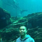 Cong Lu's photo