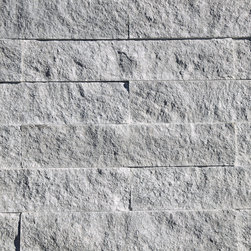 Vantage30 - Cumulus - Siding And Stone Veneer