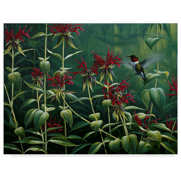 Wilhelm Goebel 'Hummingbird And Monarda' Canvas Art, 32"x24"