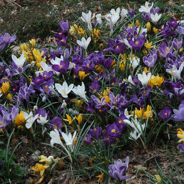 Unforgettable Bulb Display