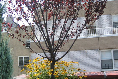 Example of a minimalist patio design in New York