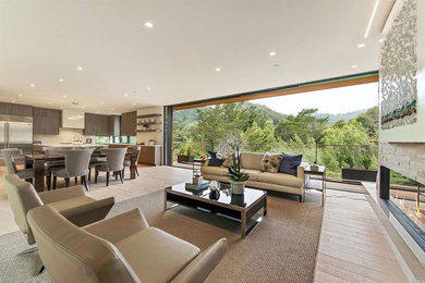Inspiration for a contemporary living room remodel in San Francisco