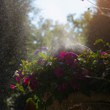Residential Power Washing Service