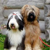 Iwona Koziks foto