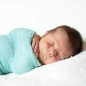 Will Sheppard's photo