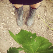 Sarah Herdell's photo