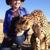 Nicolle Laird's photo