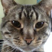 Tim Koziarski's photo