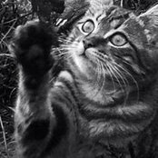 Photo de Florence Maingaud