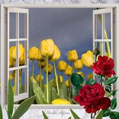 Glenda Brown's photo