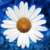 Vicki Babb's photo