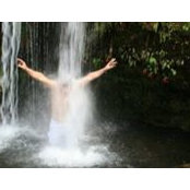 Andreas Harl's photo