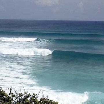 Dan's Surf Shack