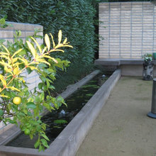 water feature