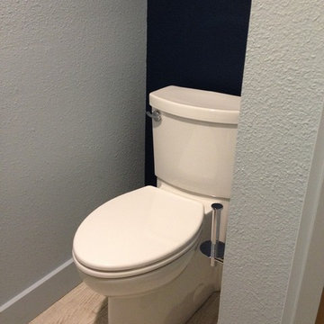 Accent color behind toilet